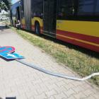 zdjęcie nr 8