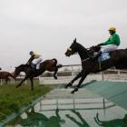 Fotka nr 3 z 6