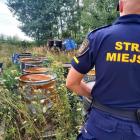   Autor: Straż Miejska Wrocławia