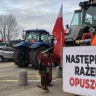Fotka nr 1 z 70