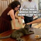 zdjęcie nr 9