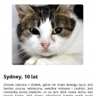 zdjęcie nr 20