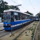   Autor: UM Wrocław
