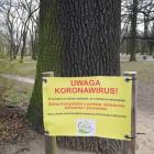 zdjęcie nr 19