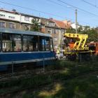 zdjęcie nr 7