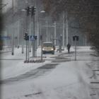 zdjęcie nr 10
