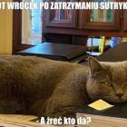 zdjęcie nr 11