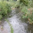 zdjęcie nr 22