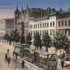 zdjęcie nr 8