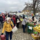 zdjęcie nr 13