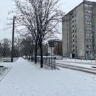 zdjęcie nr 9