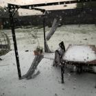 Fot. Maciej Kondratowicz/Lubuscy Łowcy Burz