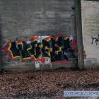 Fotka nr 3 z 7