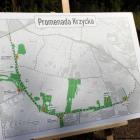 Promenada Krzycka między Bardzką i Borowską  Autor: Jakub Jurek