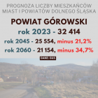 zdjęcie nr 31