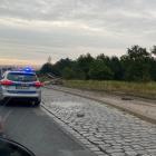 zdjęcie nr 7