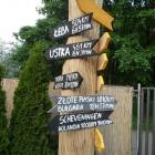zdjęcie nr 31