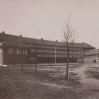 zdjęcie nr 8