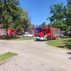 zdjęcie nr 4