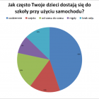  Autor: Akcja Miasto
