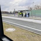 zdjęcie nr 13