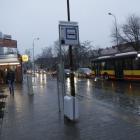 zdjęcie nr 16