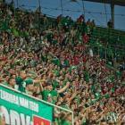 Kibice Śląska Wrocław na trybunach Stadionu Wrocław  Autor: archiwum