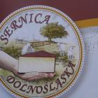 zdjęcie nr 11