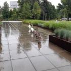   Autor: MPWiK Wrocław