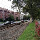 zdjęcie nr 13