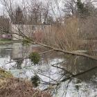 zdjęcie nr 39
