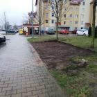 W tym miejscu stał sklep  Autor: mgo