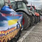 Fotka nr 4 z 70