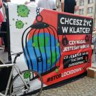 zdjęcie nr 2