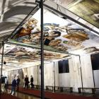 zdjęcie nr 15