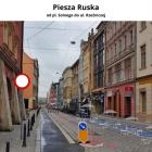 zdjęcie nr 1