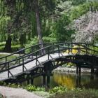 Ogród Botaniczny jest otwarty dla zwiedzających od godziny 9.00-19.00. Można go również...