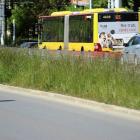 zdjęcie nr 9