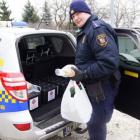   Autor: Caritas Archidiecezji Wrocławskiej