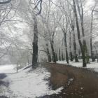 zdjęcie nr 38