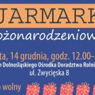  Fot. mat. pras.&nbsp; 

  Alternatywny Jarmark Bożonarodzeniowy na terenie zielonym...