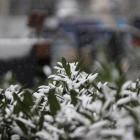 We Wrocławiu i na całym Dolnym Śląsku sypnęło śniegiem, a na drogach zrobiło się bardzo...