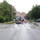 zdjęcie nr 15