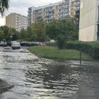 zdjęcie nr 9