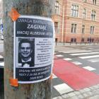 zdjęcie nr 2