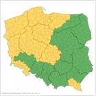 Ostrzeżenia IMGW dotyczą obszarów zaznaczonych na żółto  Autor: IMGW