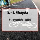 zdjęcie nr 10
