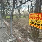 zdjęcie nr 22