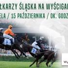 Fotka nr 0 z 3
