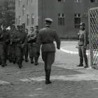 zdjęcie nr 12